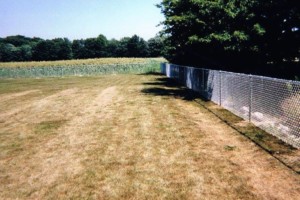 ornamental fencing chain link fence wood fence vinyl fence elyria oh lorain medina